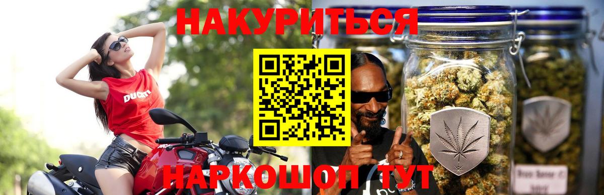 Каннабис OG Kush Кольчугино